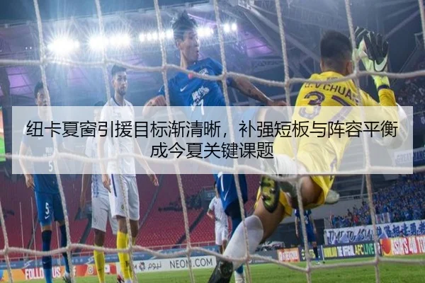 纽卡夏窗引援目标渐清晰，补强短板与阵容平衡成今夏关键课题